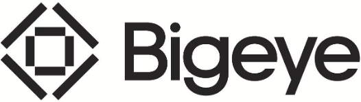 bigeye logo